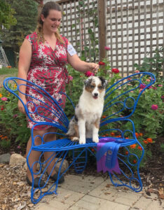 miniature american shepherd specialty winner 2023