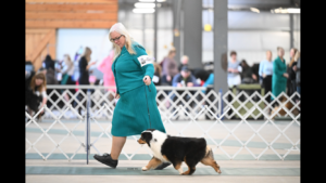 Kansas mini aussie breeder